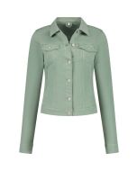 Blue Fire - Gipsy Spring Mint